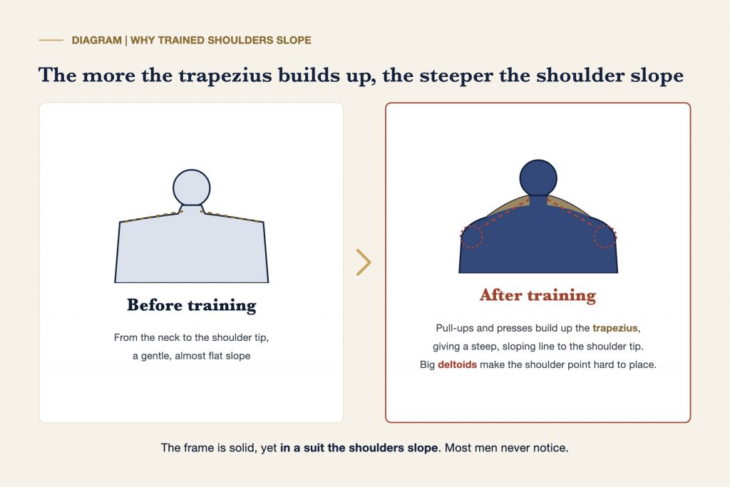 Diagram showing how a well-developed trapezius from weight training turns flat shoulders into sloping ones